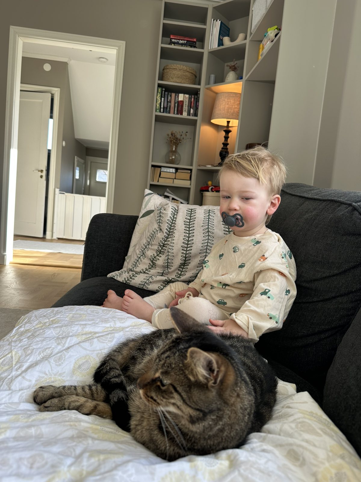 20260304WilliamAndCat